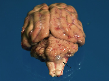Figure 4-35