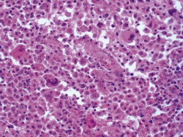 Figure 4-127