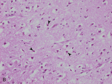 Figure 4-66