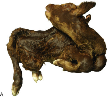 Figure 4-36