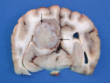 Figure 4-47