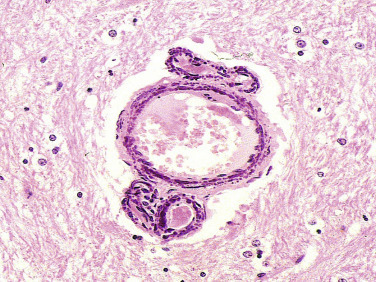 Figure 4-50