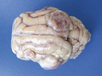 Figure 4-128