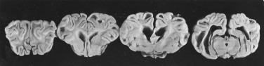 Figure 4-73