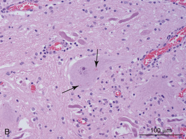 Figure 4-103
