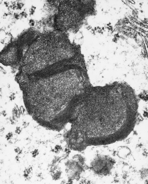 Figure 4-41