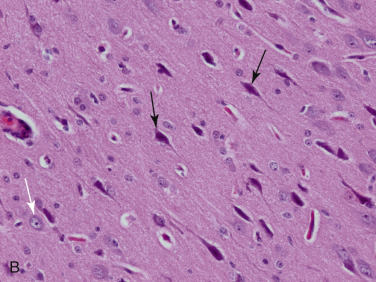 Figure 4-2