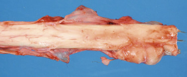 Figure 4-142