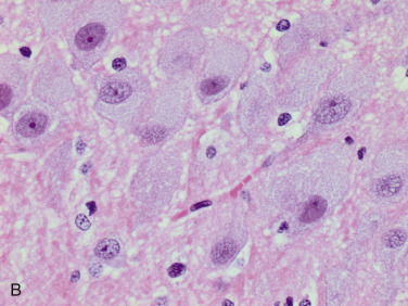 Figure 4-37