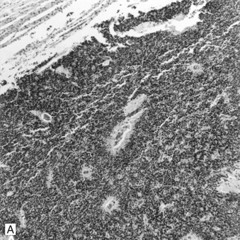Figure 4-138