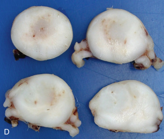 Figure 4-131