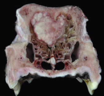 Figure 4-129