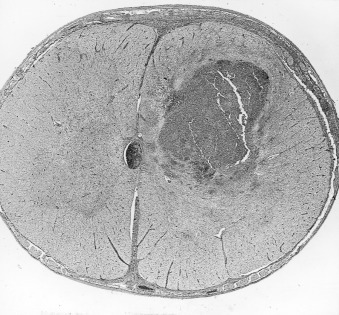 Figure 4-92
