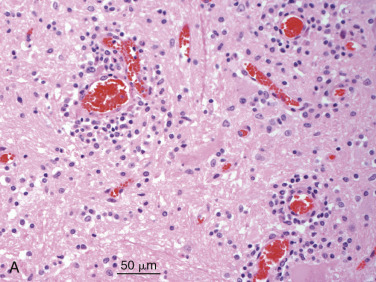 Figure 4-102