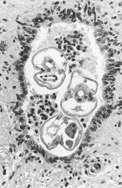 Figure 4-119