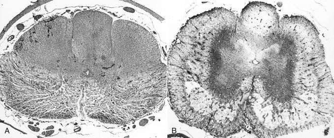 Figure 4-78