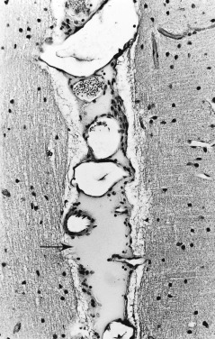 Figure 4-52