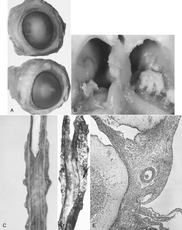 Figure 4-88