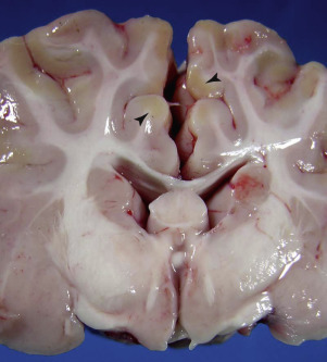 Figure 4-63
