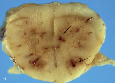 Figure 4-102