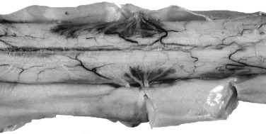 Figure 4-113