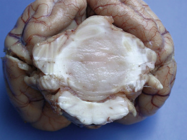 Figure 4-137