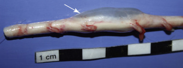 Figure 4-33