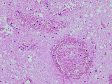Figure 4-54
