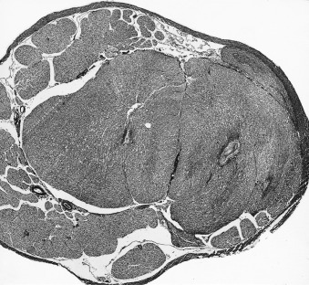 Figure 4-32