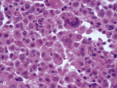 Figure 4-127