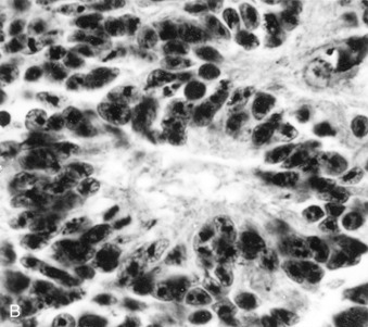Figure 4-138