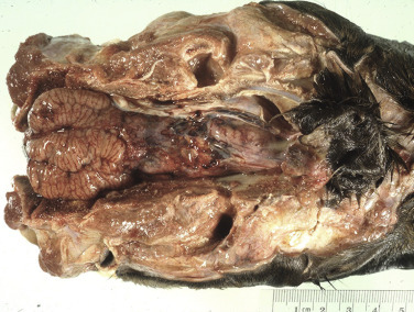 Figure 4-18