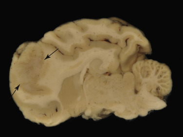 Figure 4-124