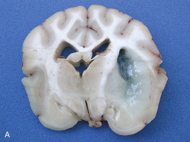 Figure 4-133