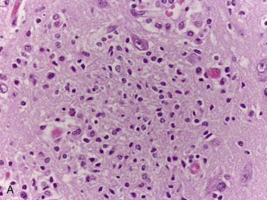 Figure 4-117
