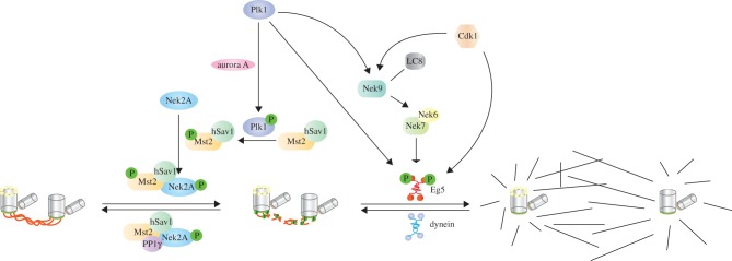 Figure 3.