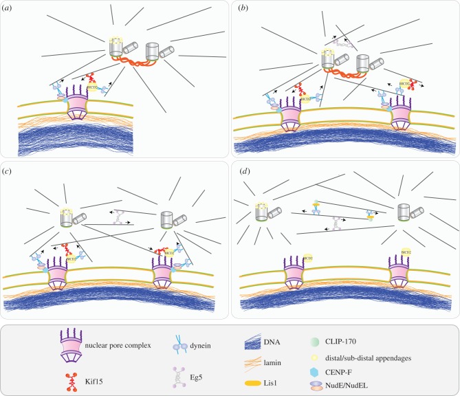 Figure 2.