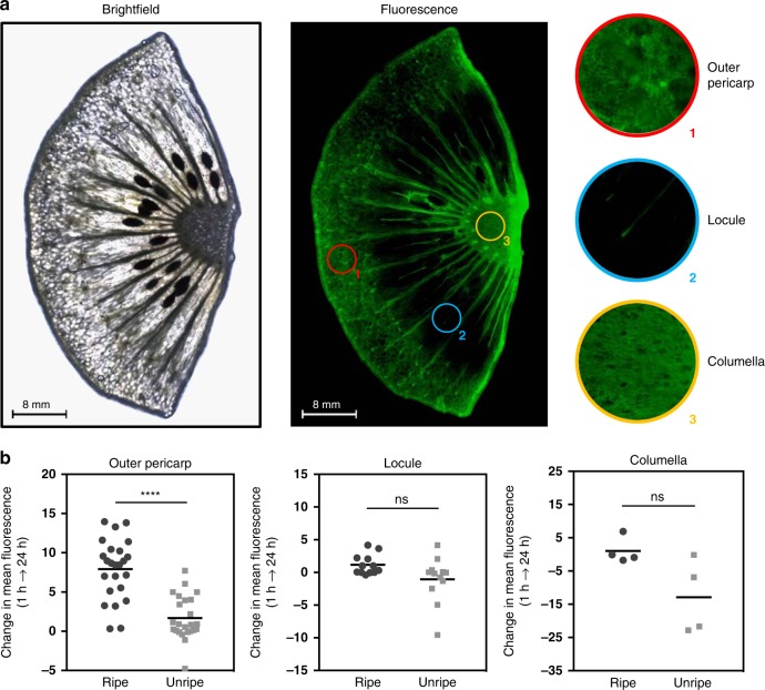 Fig. 3