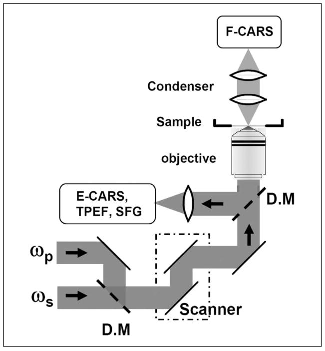 Fig. 2