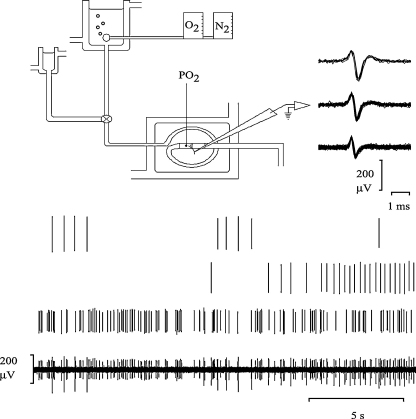 Fig. 2