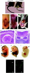 FIG. 4.