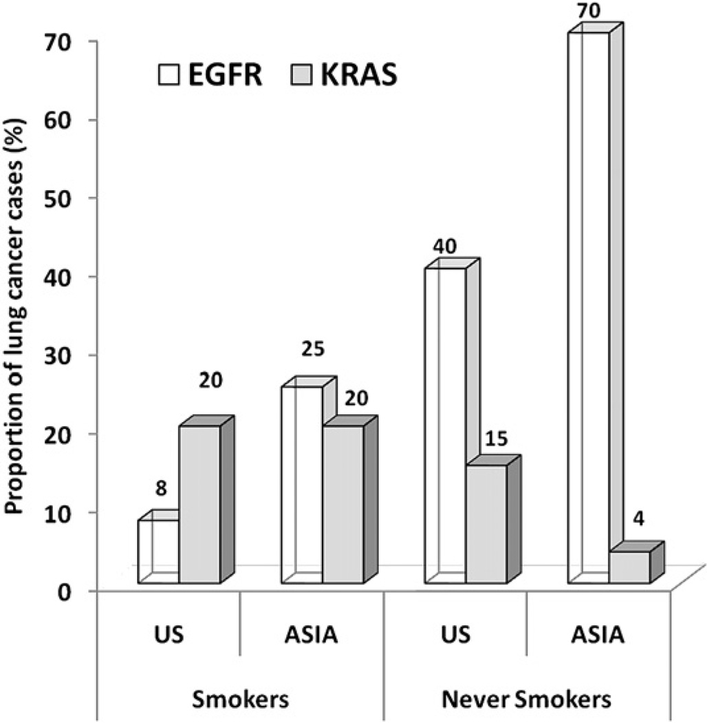 Fig. 13