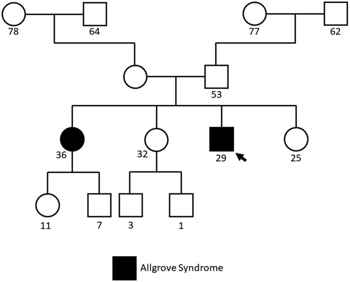 FIGURE 1