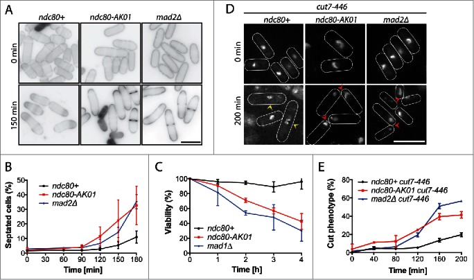 Figure 2.