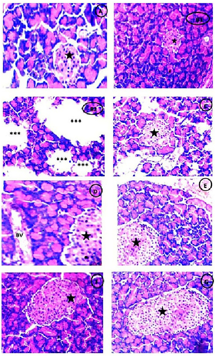 Fig 11