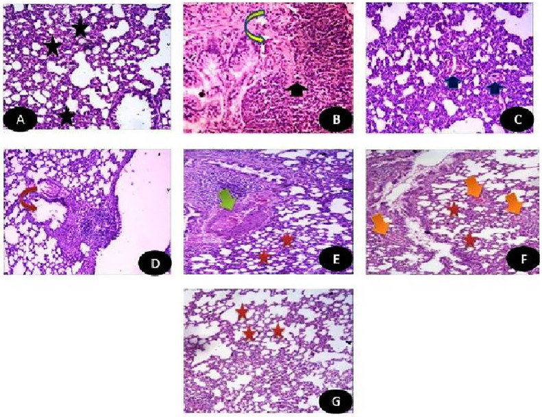 Fig 12