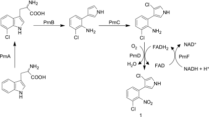 FIG. 1.