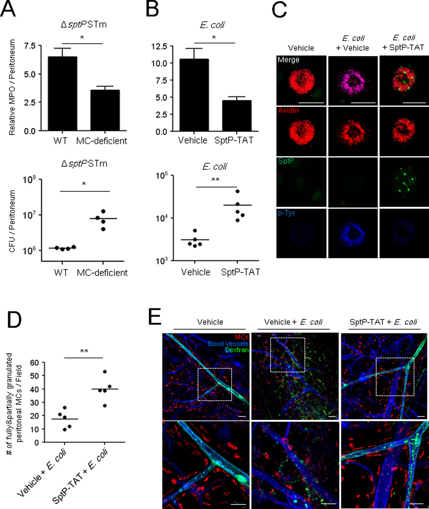 Fig 6