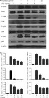Fig. 9