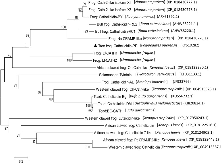 Fig. 4